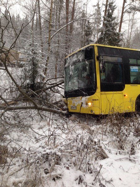 В Курортном районе Петербурга в ДТП с автобусом пострадала женщина В Курортном районе Петербурга в ДТП с автобусом пострадала женщина (2)