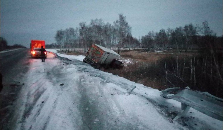 Цирковые животные погибли в ДТП под Челябинском (1)