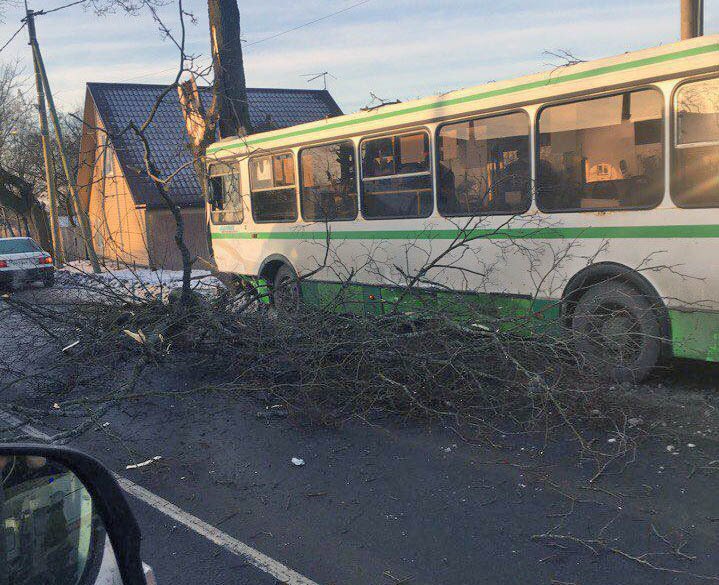 Автобус попал в ДТП на Дороге Жизни в Ленобласти: есть пострадавшие Автобус попал в ДТП на Дороге Жизни в Ленобласти есть пострадавшие (3)
