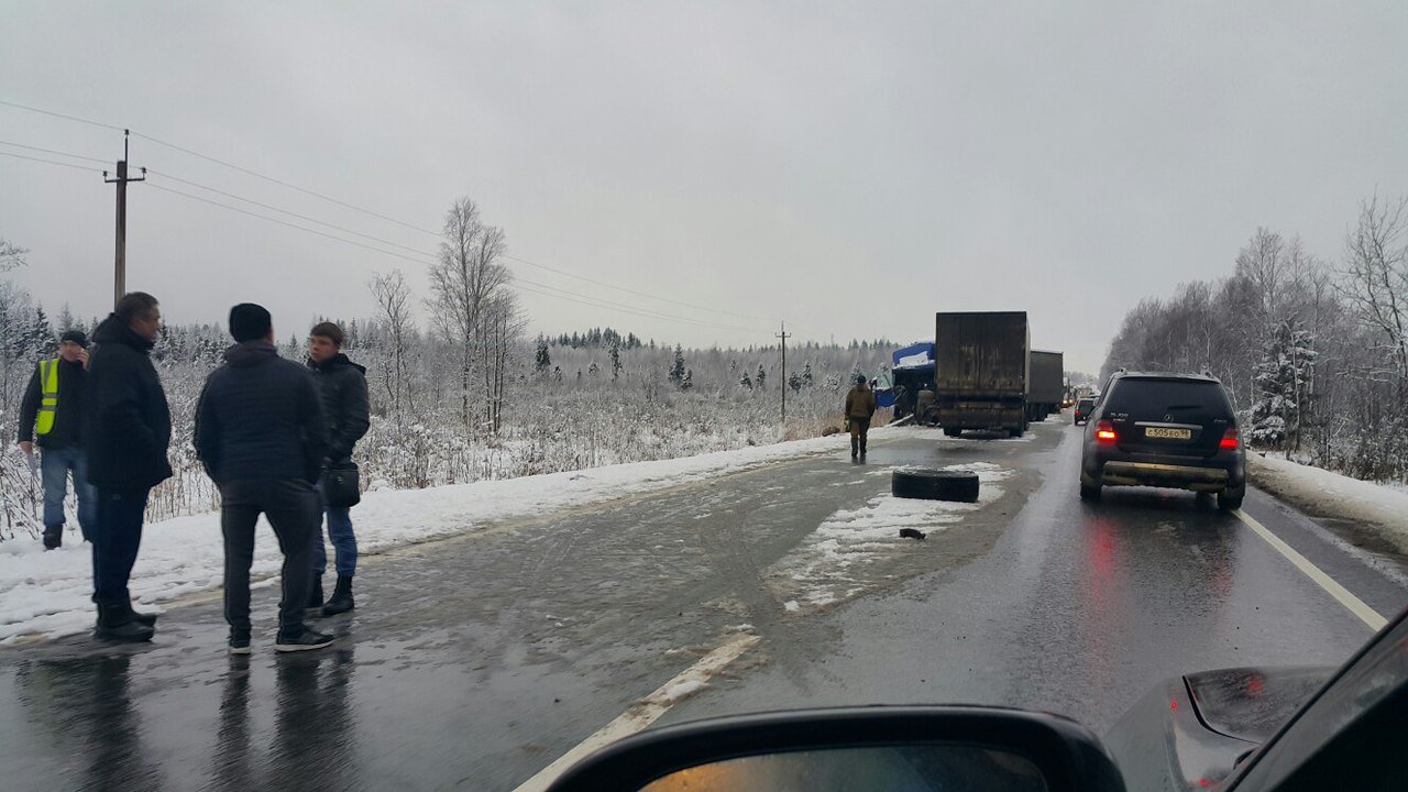 В ДТП с грузовиками на трассе «Кола» погиб человек В ДТП с грузовиками на трассе «Кола» погиб человек 2
