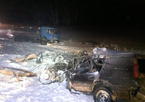 Под Омском в ДТП с КамАЗом погибли мужчина и 3-летняя девочка (1)