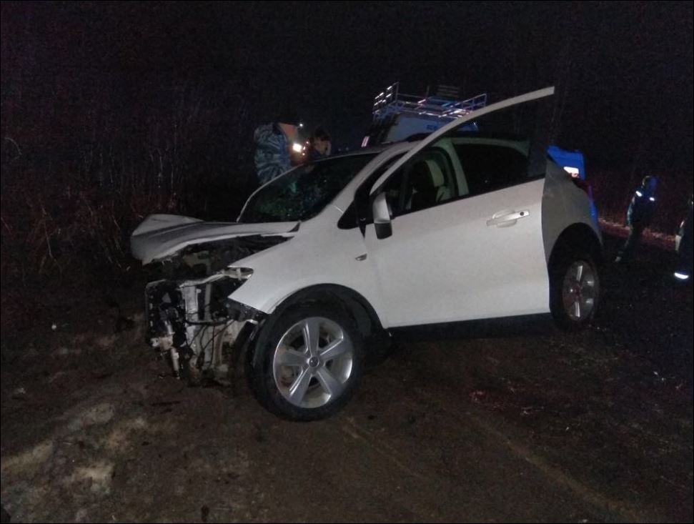 Женщина погибла в ДТП в Московской области (2)
