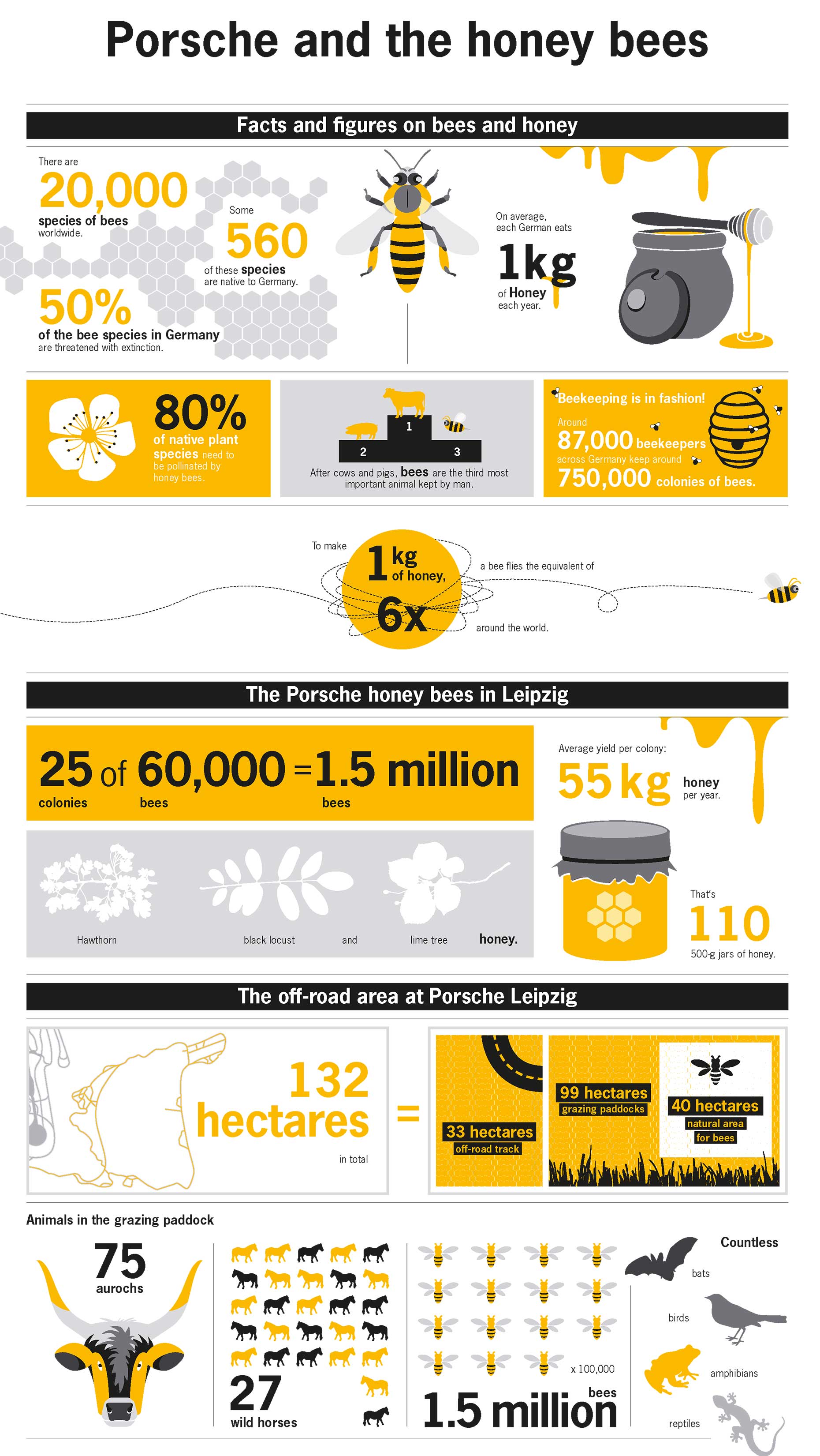 Porsche_Infografik_Bienen_EN