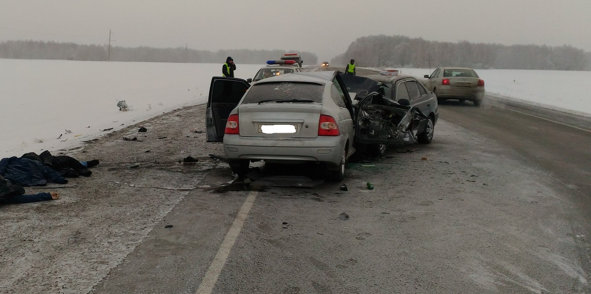 Два человека погибли в лобовом ДТП в Варгашинском районе Курганской области (3)