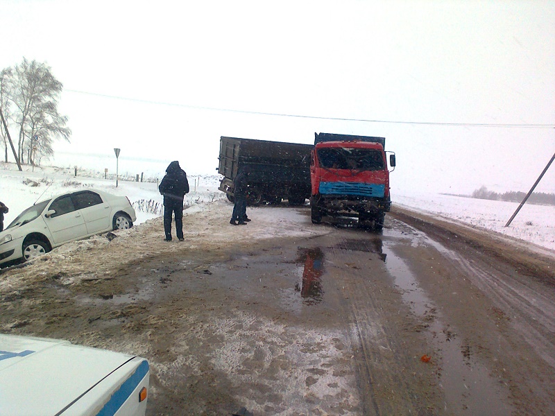 Два человека погибли в ДТП с полицейской машиной в Орловской области (4)