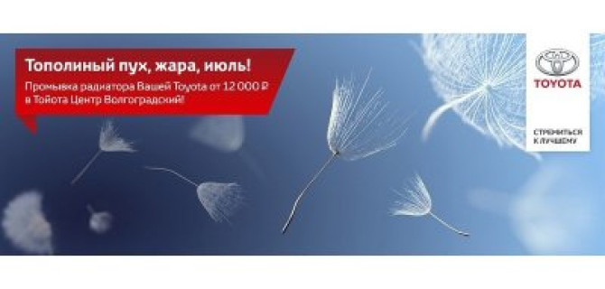 Тополиный пух, жара, июль в Тойота Центр Волгоградский!
