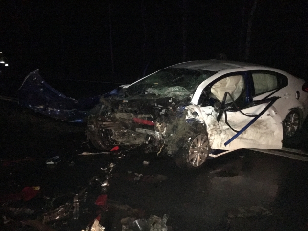 Два человека погибли в ДТП в Тосненском районе Два человека погибли в ДТП в Тосненском районе (1)