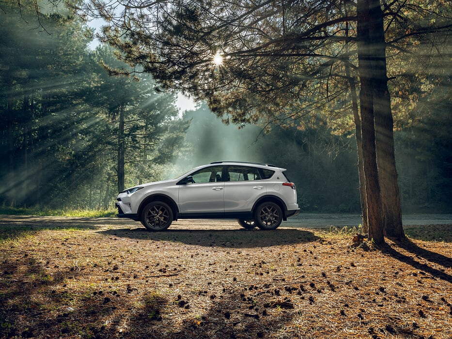 RAV4 Left side