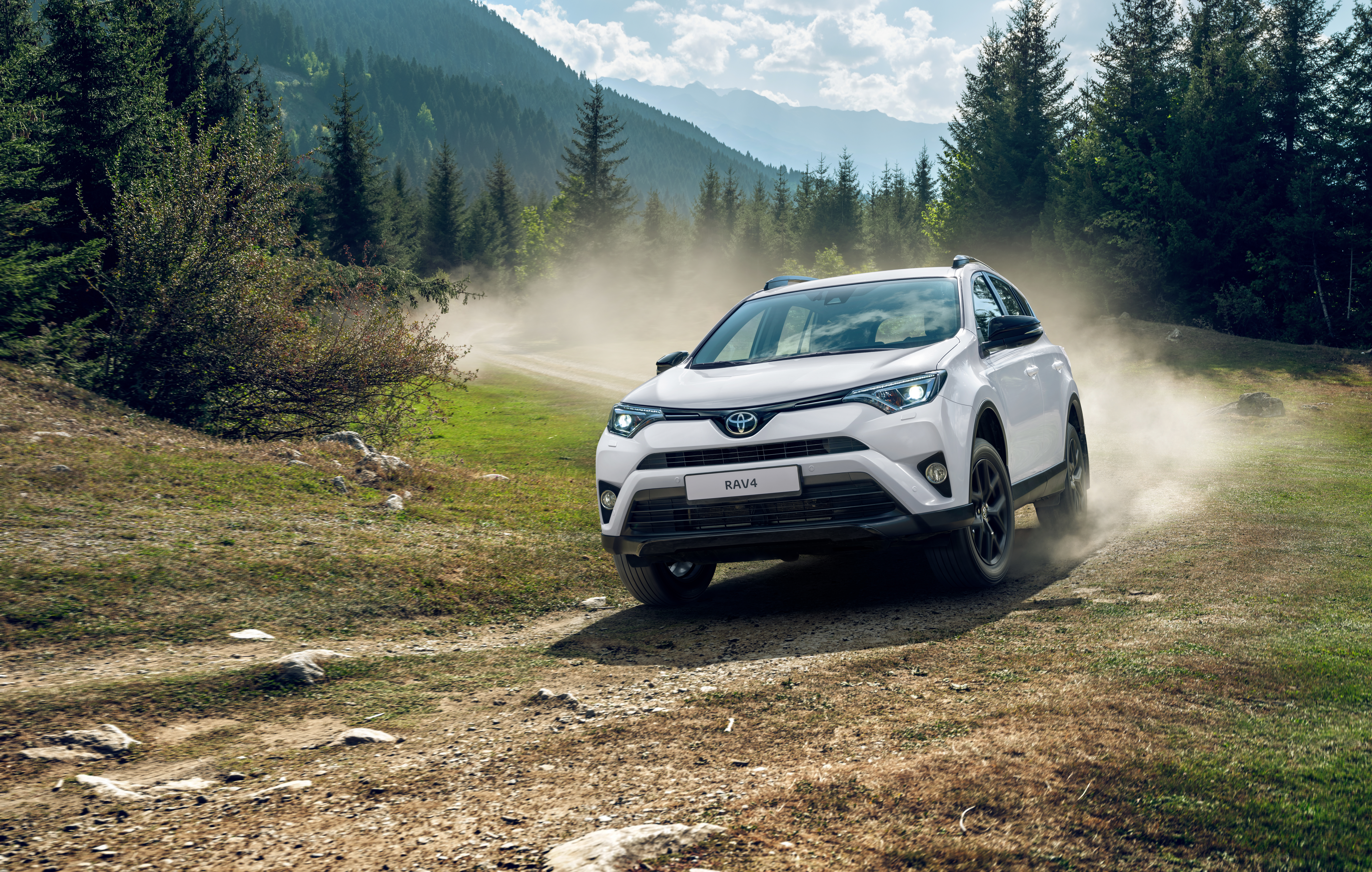 RAV4 Grass