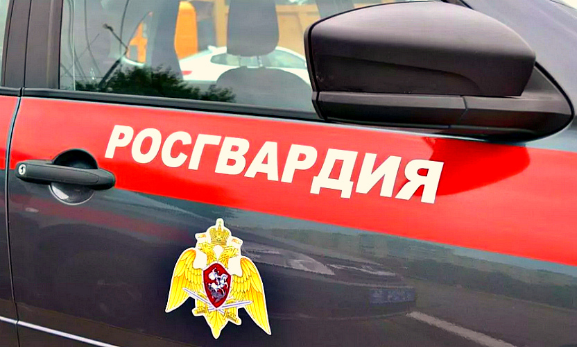 Р менты