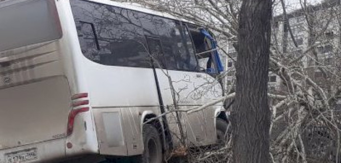 В Екатеринбурге водитель автобуса погиб, врезавшись в дерево