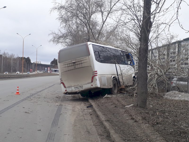В Екатеринбурге водитель автобуса погиб, врезавшись в дерево (2)