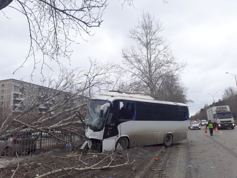 В Екатеринбурге водитель автобуса погиб, врезавшись в дерево (1)