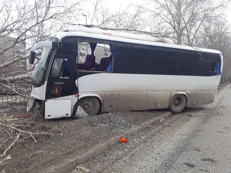 В Екатеринбурге водитель автобуса погиб, врезавшись в дерево (3)