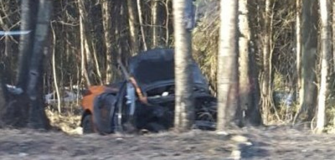 Водитель каршеринговой иномарки погиб в ДТП на Приморском шоссе
