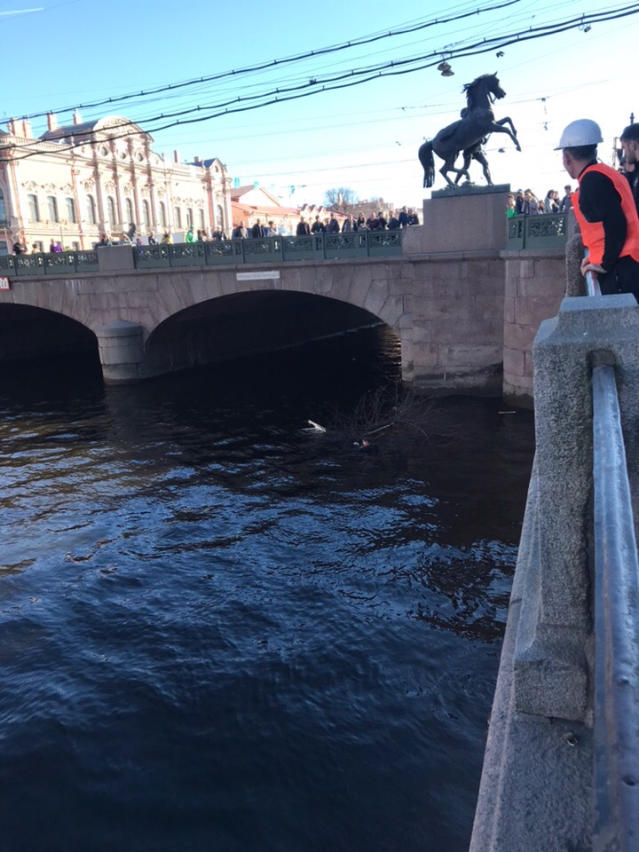 В центре Петербурга BMW сбила людей на тротуаре В центре Петербурга BMW сбила людей на тротуаре (2)