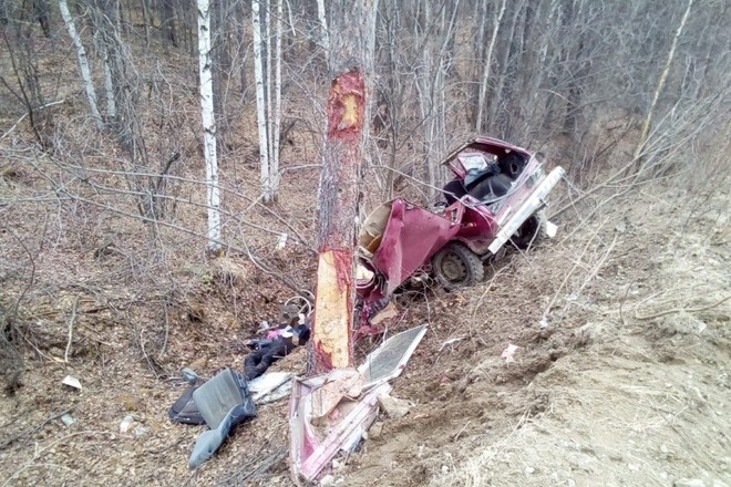 Под Тындой «Нива» врезалась в дерево – погибли двое Под Тындой «Нива» врезалась в дерево – погибли двое