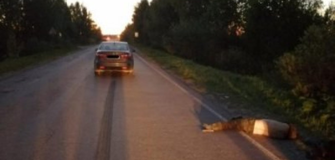 В Тверской области насмерть сбили мужчину