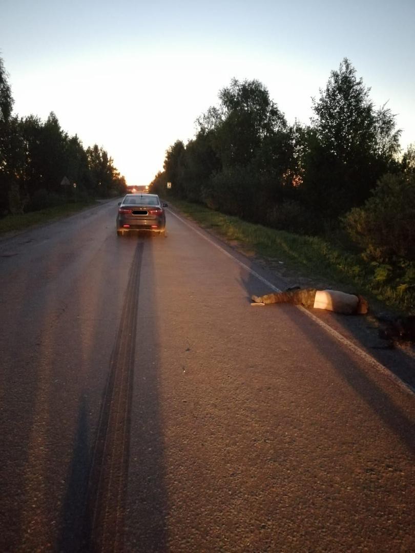 В Тверской области насмерть сбили мужчину В Тверской области насмерть сбили мужчину (2)