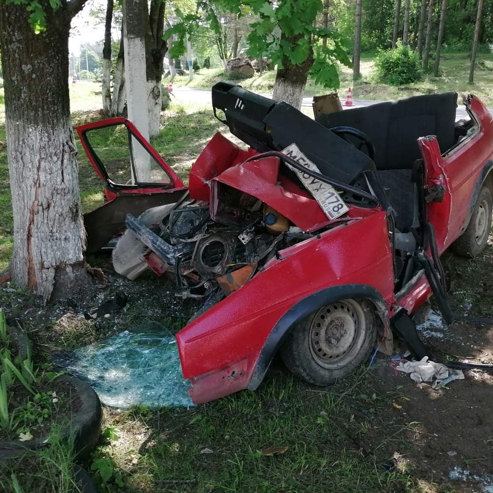 В Ленобласти иномарка врезалась в дерево – водитель погиб (1)