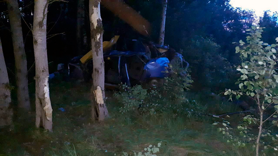 Во Владимирской области при опрокидывании машины в кювет погиб человек (2)