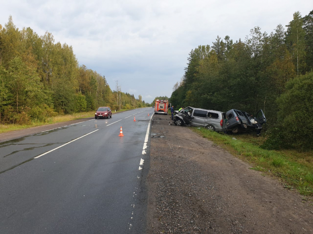 Два человека погибли в ДТП в Лужском районе Ленобласти (3)