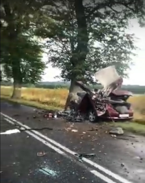 Два человека погибли в ДТП под Калининградом Два человека погибли в ДТП под Калининградом