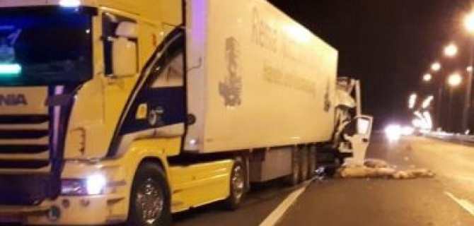 Водитель грузовика со свиньями погиб в ДТП в Заокском районе