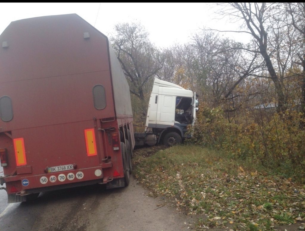 Водитель иномарки погиб в ДТП под Рязанью Водитель иномарки погиб в ДТП под Рязанью 3