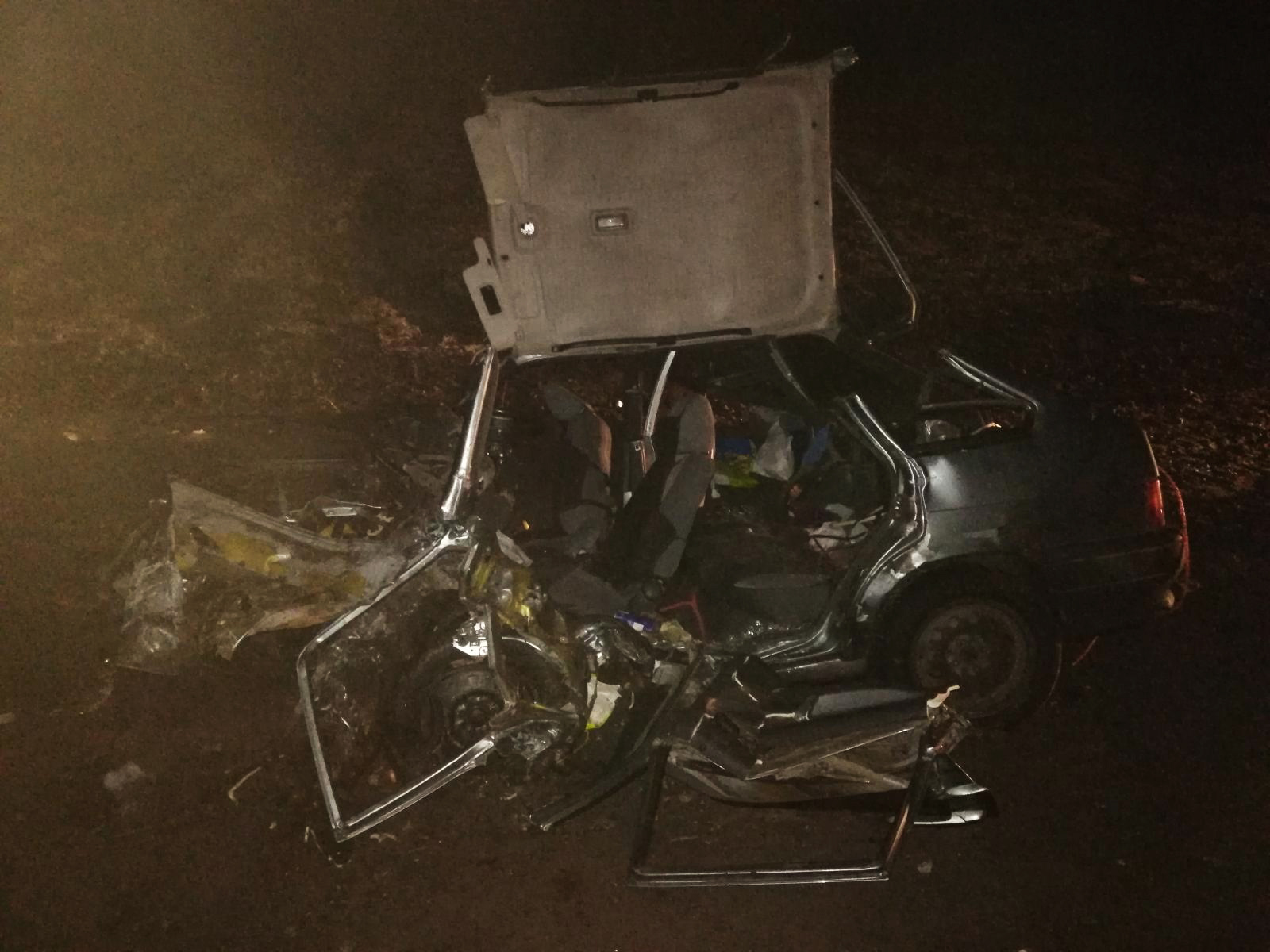 В ДТП в Тамбовской области погибли два человека (1)