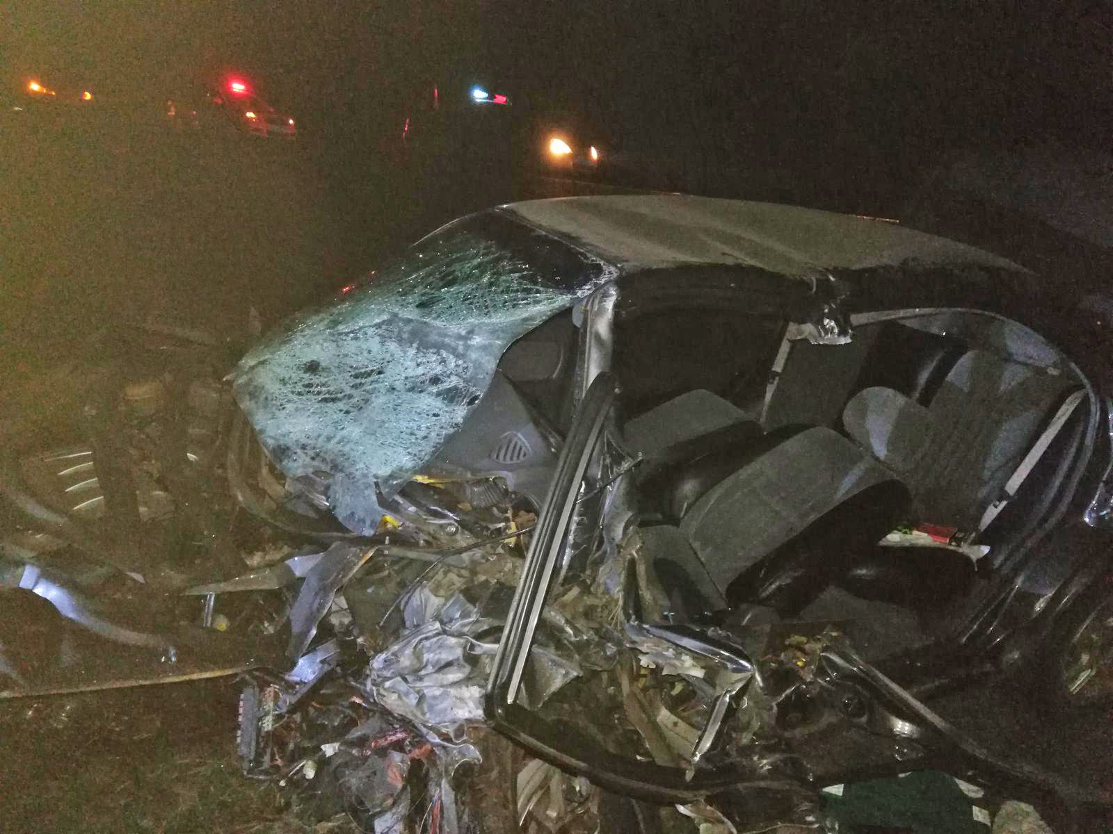 В ДТП в Тамбовской области погибли два человека (2)