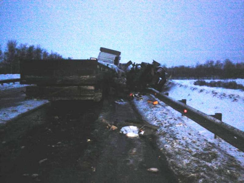 Водитель «Газели» и тракторист погибли в ДТП в Новосибирской области Водитель «Газели» и тракторист погибли в ДТП в Новосибирской области (1)