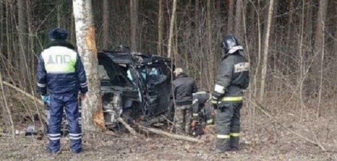 На Приморском шоссе иномарка врезалась в дерево – погиб человек