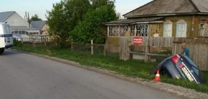 В Новосибирской области водитель сбил корову и погиб