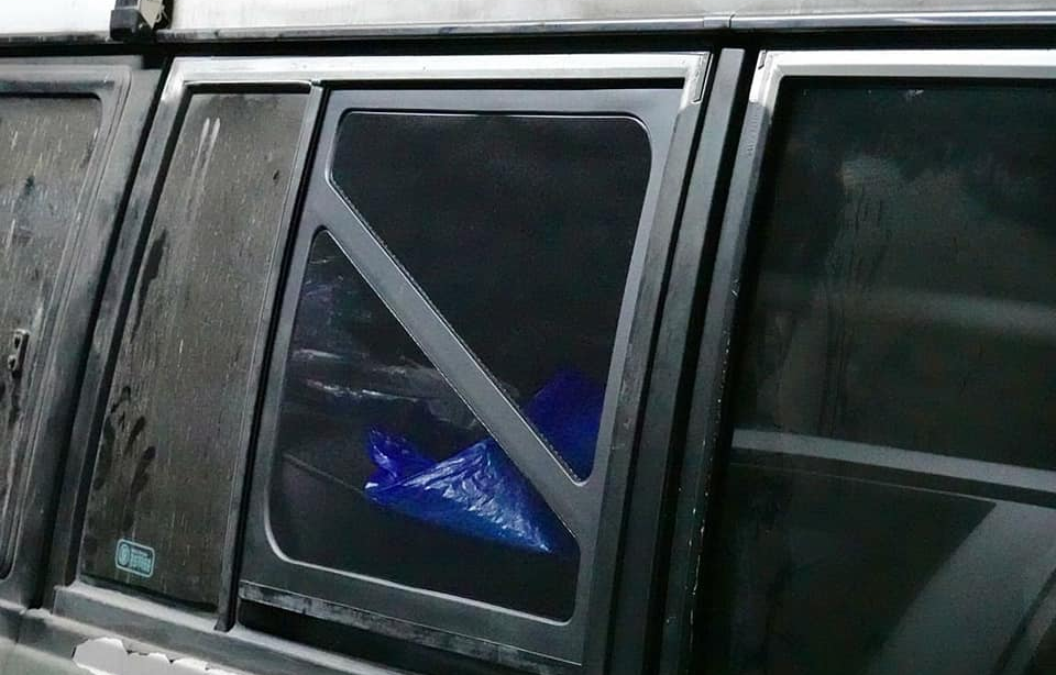 Случайно найденный аксессуар для старого Mitsubishi Pajero поразил владельцев внедорожника по всему миру 3 Москитная сетка для Pajero