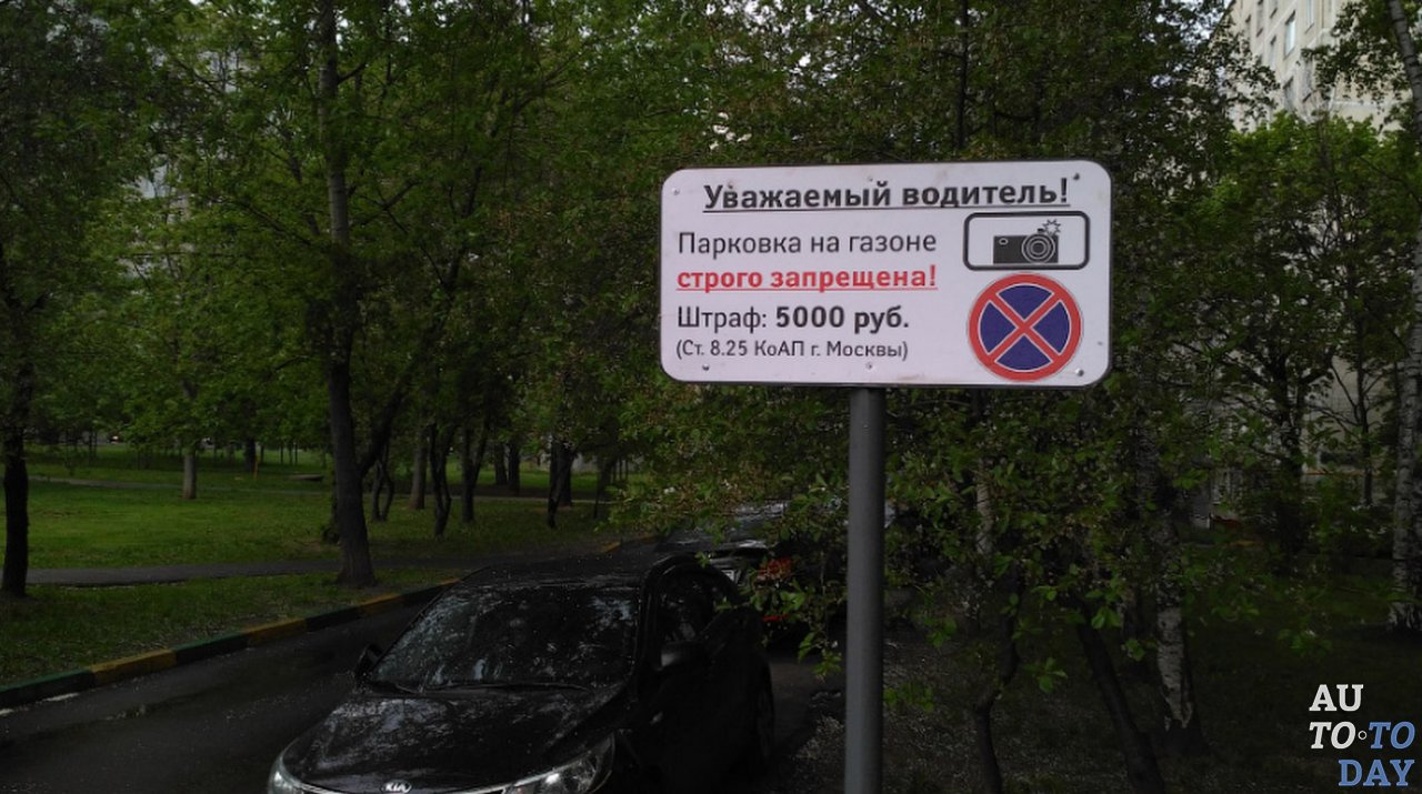 онф 4