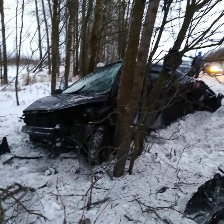 Иномарка врезалась в дерево на трассе Новая Ладога – Зуево Иномарка врезалась в дерево на трассе Новая Ладога – Зуево (1)