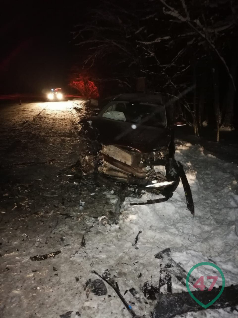 Три человека пострадали в ДТП под Киришами Три человека пострадали в ДТП под Киришами (2)